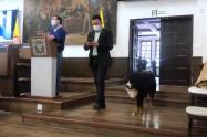 Perro en el Concejo de Bogotá
