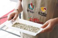 Semana de Cafés Especiales