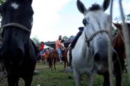 Meta - Caballos - Reactivación económica