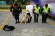 Jefry perro antinarcóticos