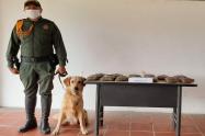 Incautaron 80 kilos de marihuana en el Salado