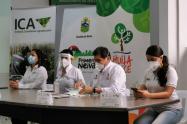 Calamidad Neiva