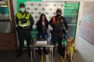 Jefry sigue olfateando a microtraficantes en la Terminal de Transportes de Ibagué