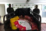 Incautan carne