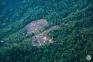 Deforestación en la Amazonia colombiana.