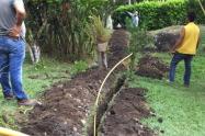 Proyectos de gasificación del Tolima