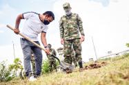 jornadas de siembra Ibagué 