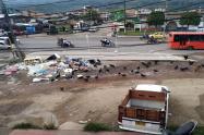 quejas por basura de Ibagué