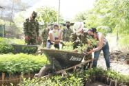 Reforestación en el Tolima