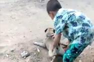 Se debe abrir un proceso legal de restablecimiento de menores, acción judicial administrativa, así como uno penal por maltrato animal