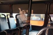 Inspección de Personería buses Ibagué