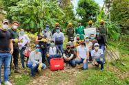 Siembra de arboles Neiva Huila