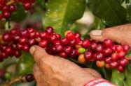 Café Huila