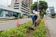 Mantenimiento carrera Quinta Ibagué Limpia