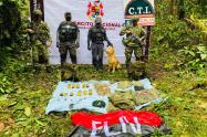 Hallan 11 minas antipersonales y más de 900 cartuchos en caleta del ELN en Villahermosa – Tolima