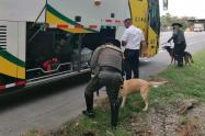 Cerca de 1.500 uniformados garantizan la seguridad de este puente festivo en el Tolima
