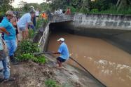 Buscan hombre ahogado en el canal de riego de Usocoello en el Guamo