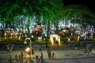 Alumbrado Navideño Ibagué-Imagen de referencia