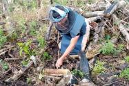 Destruyeron 6 minas antipersonales halladas en Planadas - Tolima