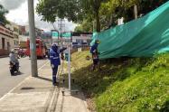 Ibagué Limpia embellece la ciudad