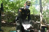 Animales, Liberación, Policía, Coorpamag, Santa Marta, Magdalena