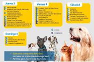 Jornada de Vacunación en Ibagué