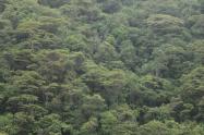 Serranía Huila