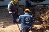 Trabajos del Ibal 2020