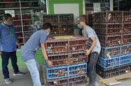 Cuatro unidades productivas fueron entregadas a asociaciones de mujeres rurales