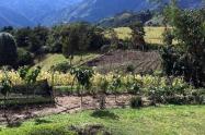 Vereda Potrero Grande Ibagué