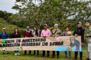 Grupo Monitoreo