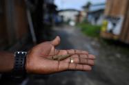 Violencia en el puerto de Buenaventura.
