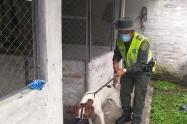 El caso ocurrió en Tuluá, Valle.