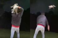 Indignación en redes por joven que maltrata a un gato en Antioquia 