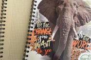 Cuadernos sostenibles.