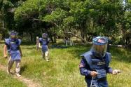 Desminado Huila