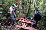 Madera Incautada