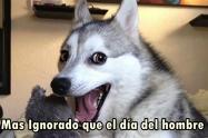 Meme día del hombre 