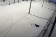 Niño cae de piso 12