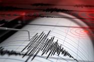 La magnitud del movimiento telúrico fue de 4.6.