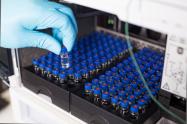 Vacunas contra el coronavirus
