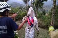 Control de abejas