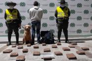 ¡De nuevo lo hizo Jefry!, el canino antinarcóticos detectó a un pasajero en Boquerón con 19 kilos de marihuana