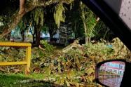 Afectaciones por lluvias
