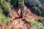 Emergencia en la vereda San Cristóbal de Coello Cocora.