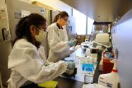 Vacunas laboratorio