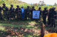 Reforestación en Ibagué