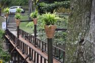 Zonas verdes en Ibagué