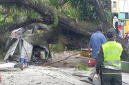 Cayó árbol sobre caseta y esta se incendió en el Parque Andrés López de Galarza en Ibagué