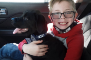 Niño vende sus cartas Pokémon para salvar a su perro 